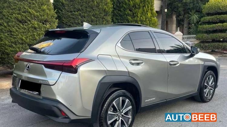 Lexus UX300 2021