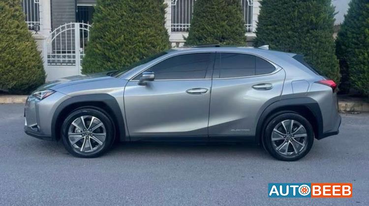 Lexus UX300 2021