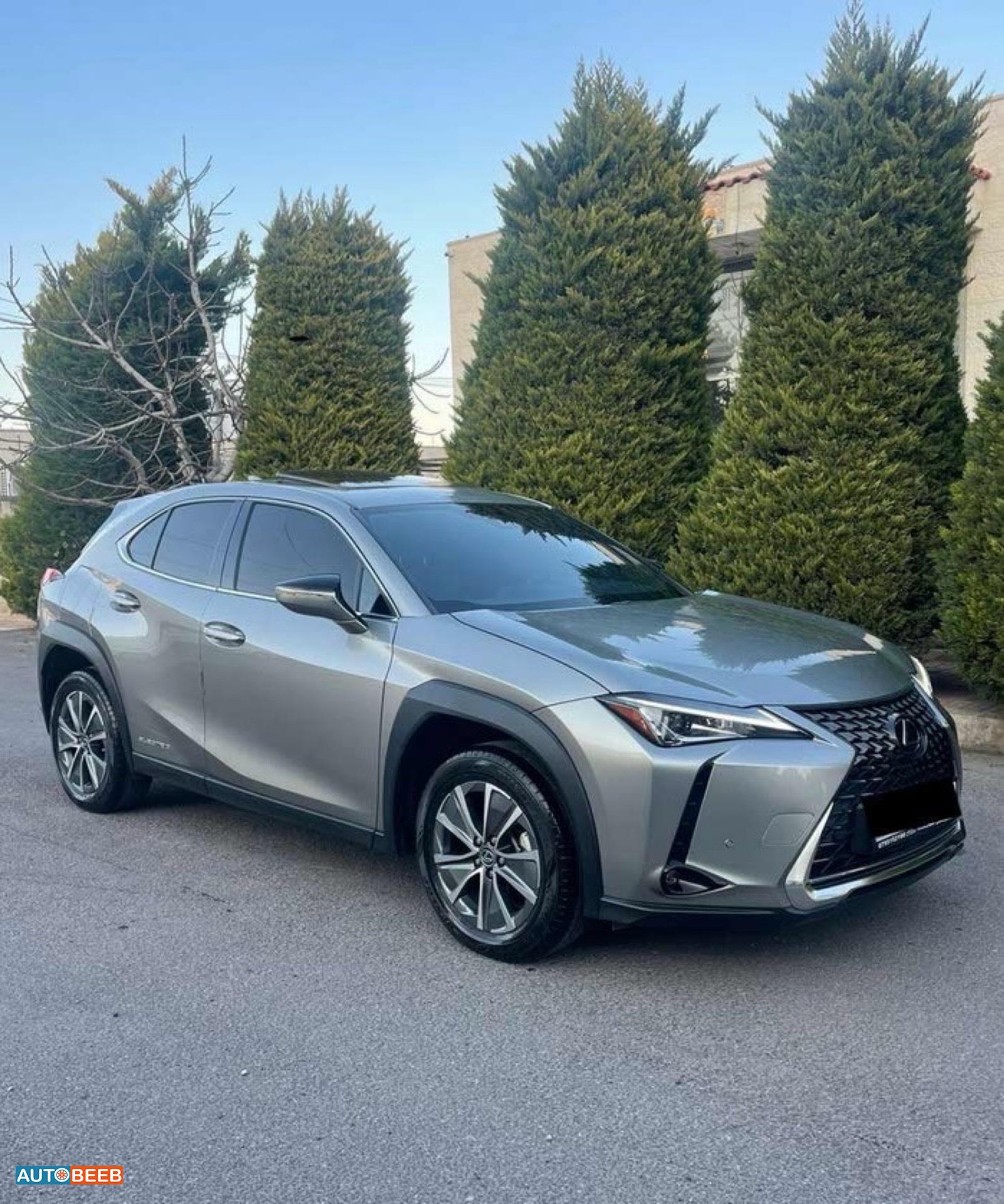 Lexus UX300 2021