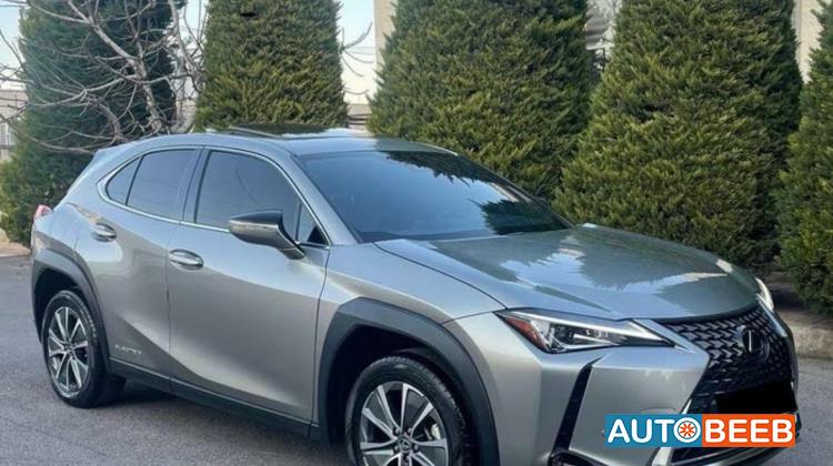 Lexus UX300 2021