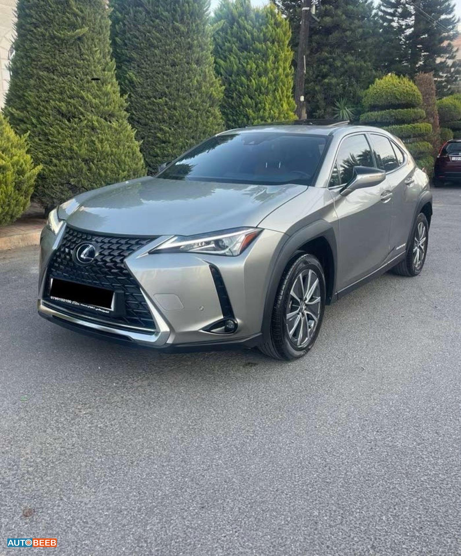 Lexus UX300 2021