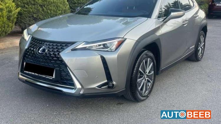Lexus UX300 2021