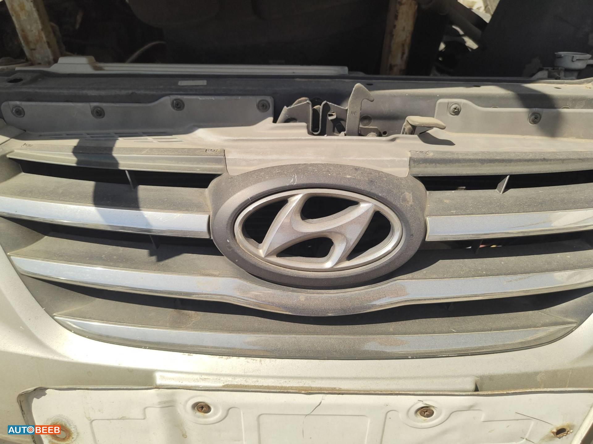 Body  Grilles Hyundai Sonata