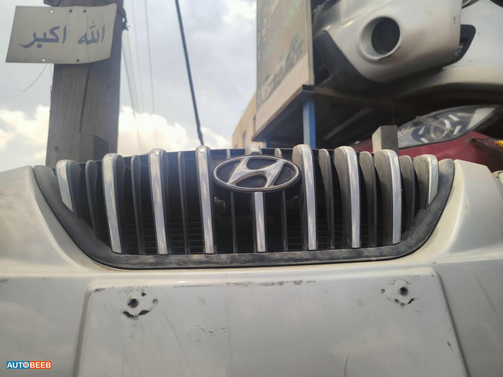 Body  Grilles Hyundai Avante