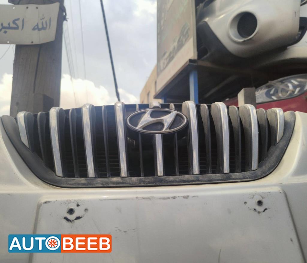 Body  Grilles Hyundai Avante
