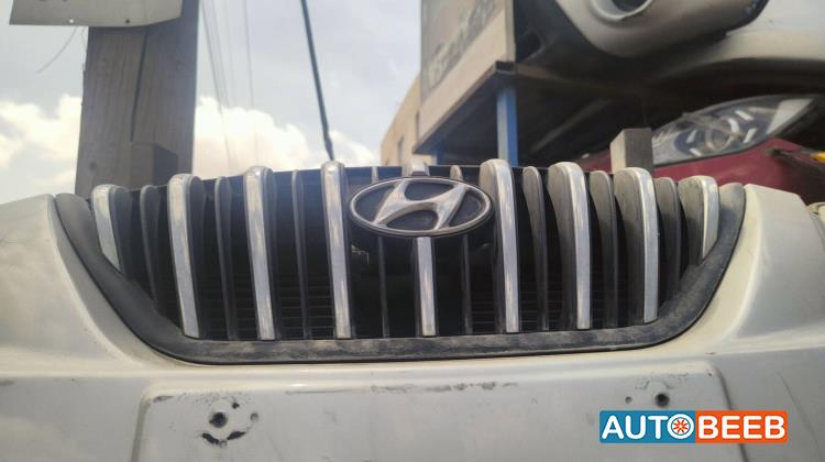 Body  Grilles Hyundai Avante