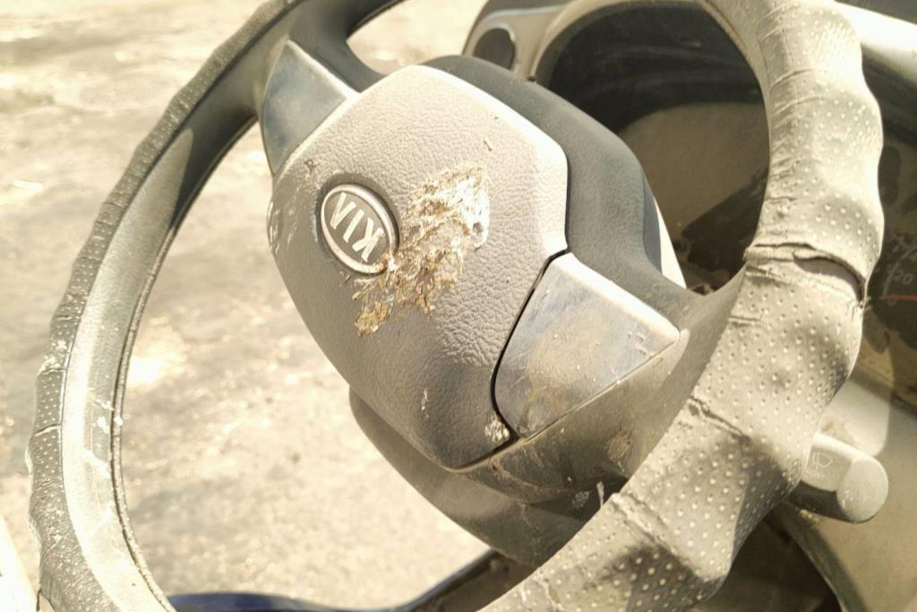Cabin  Steering Wheel KIA Bongo