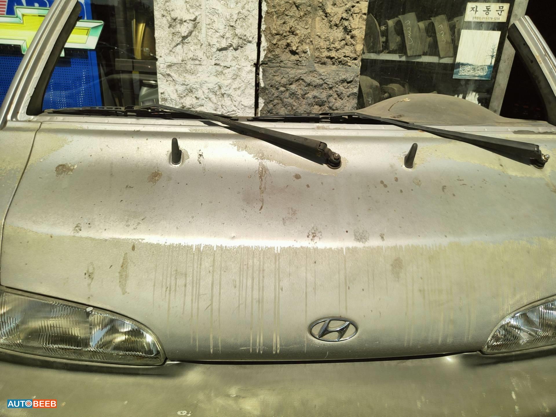 Body  Hood Hyundai H100