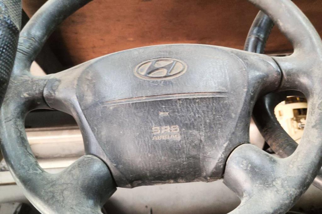 Cabin  Steering Wheel Hyundai H1