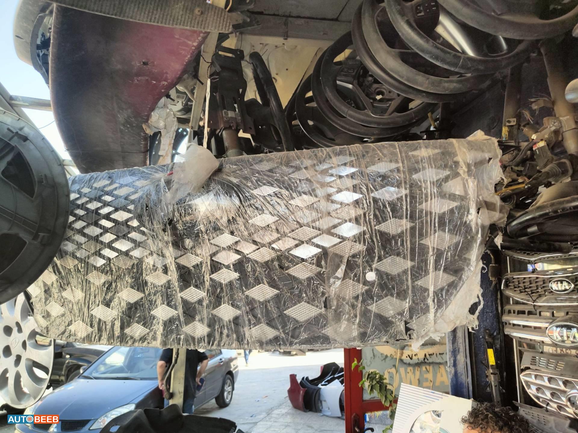 Body  Grilles Hyundai Azera
