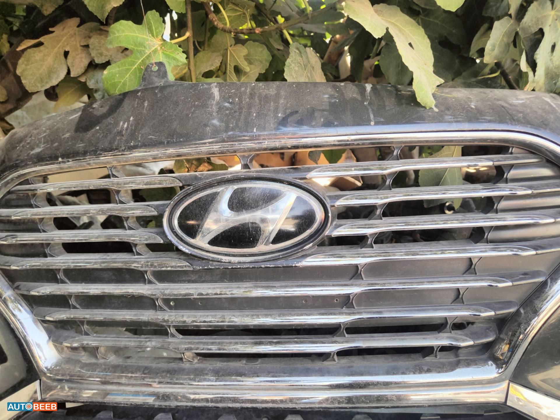 Body  Grilles Hyundai Avante