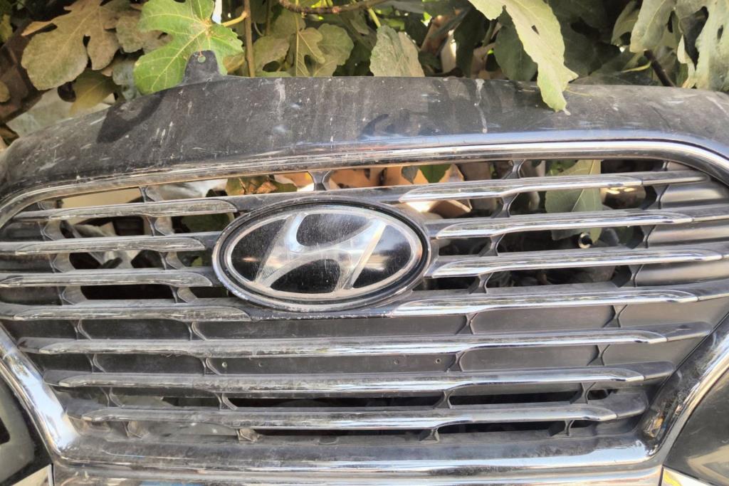 Body  Grilles Hyundai Avante