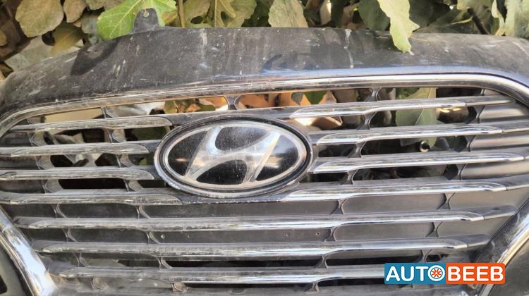 Body  Grilles Hyundai Avante