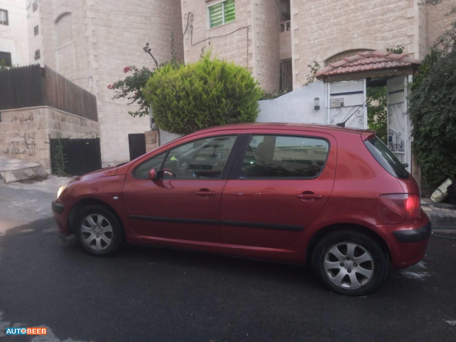 Peugeot 307 2004