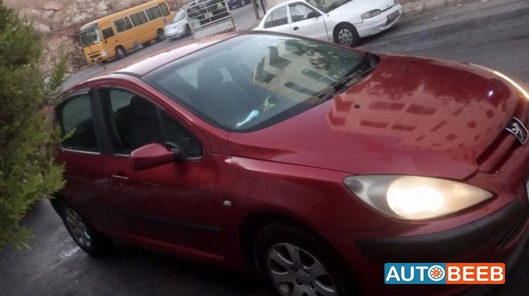 Peugeot 307 2004