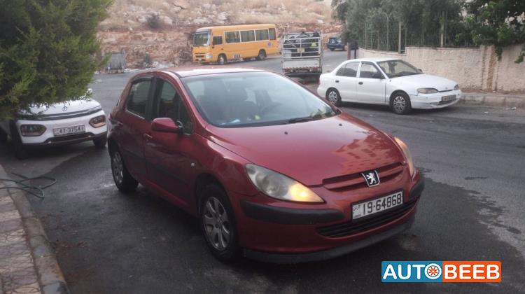 Peugeot 307 2004