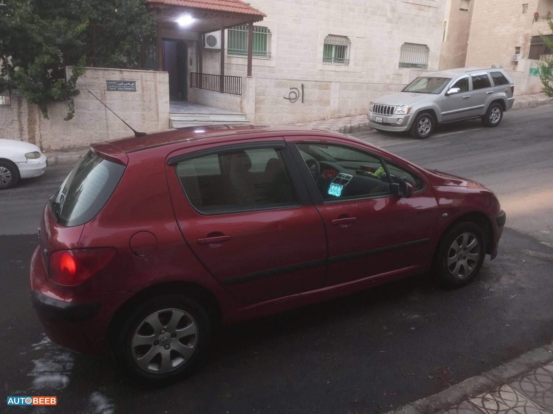 Peugeot 307 2004