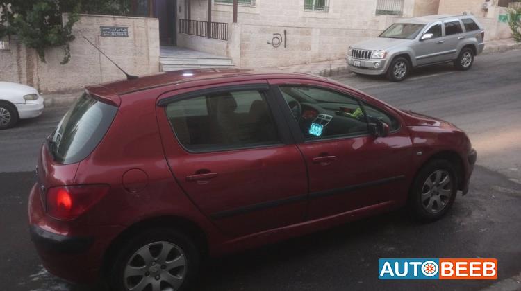 Peugeot 307 2004