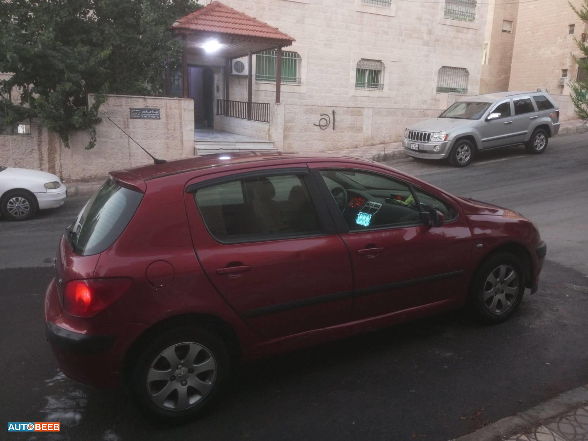 Peugeot 307 2004