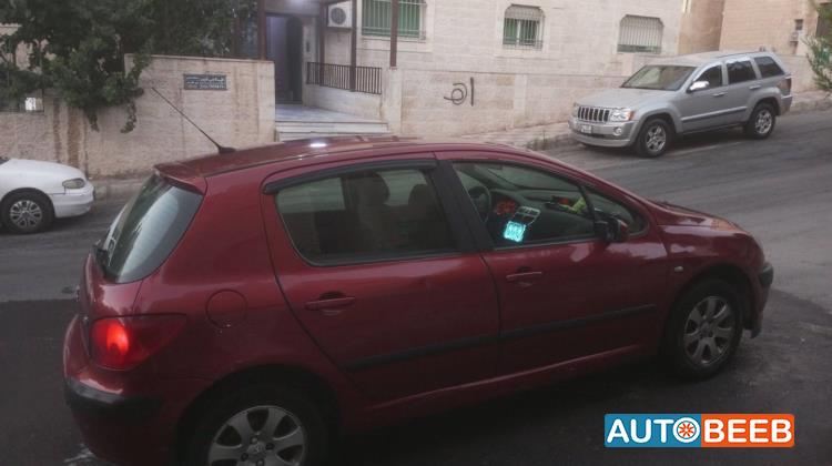 Peugeot 307 2004
