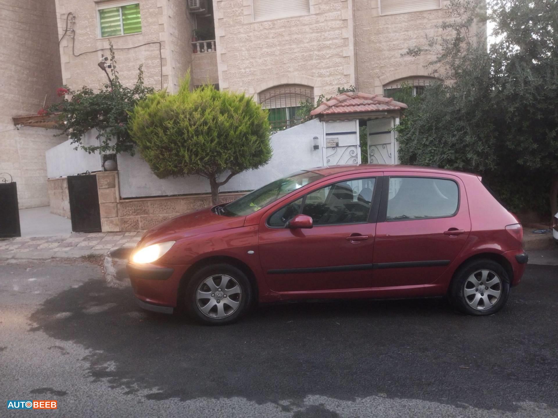 Peugeot 307 2004