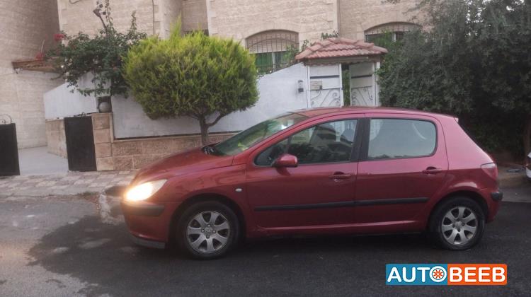 Peugeot 307 2004