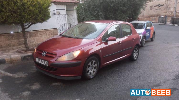 Peugeot 307 2004