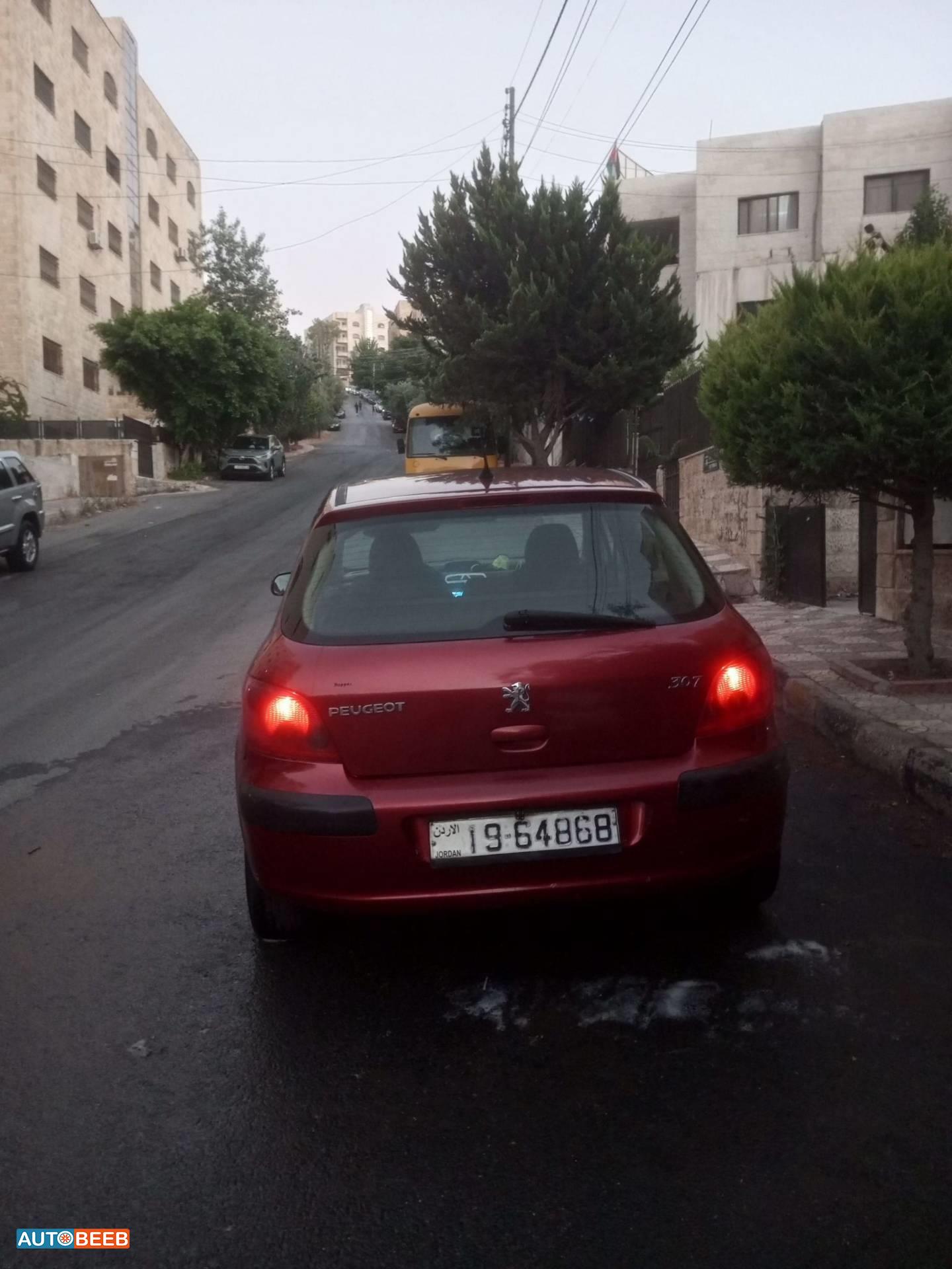 Peugeot 307 2004