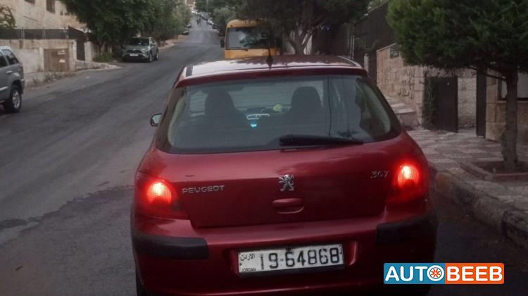 Peugeot 307 2004