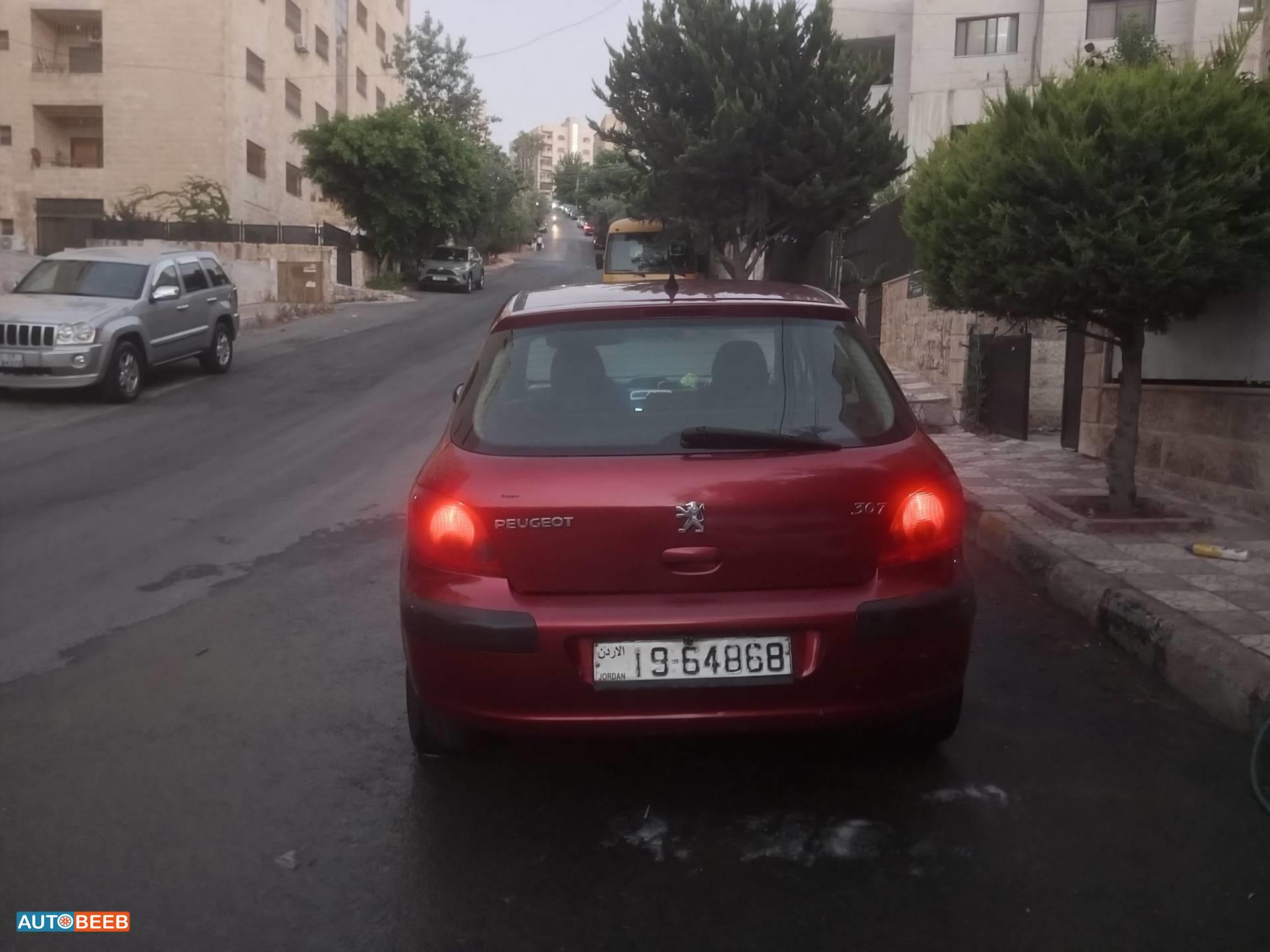 Peugeot 307 2004