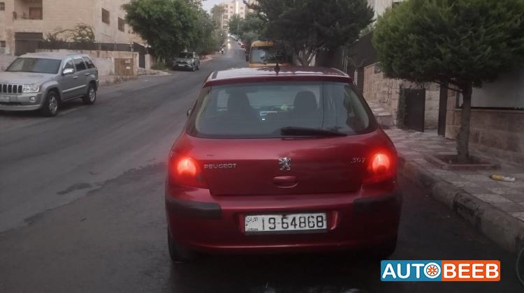 Peugeot 307 2004