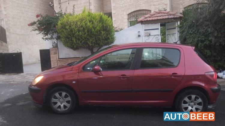 Peugeot 307 2004