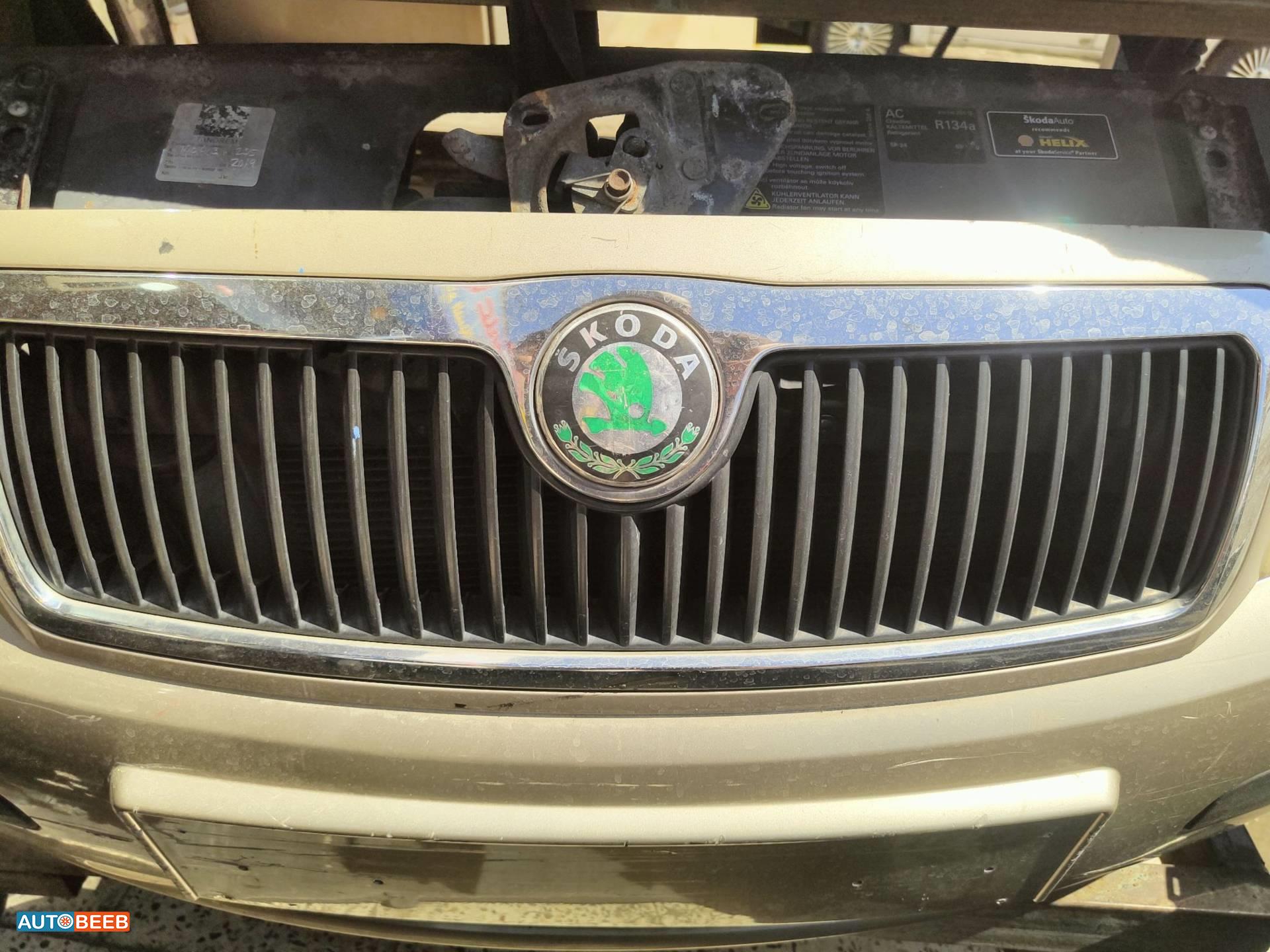 Body  Grilles Skoda Fabia