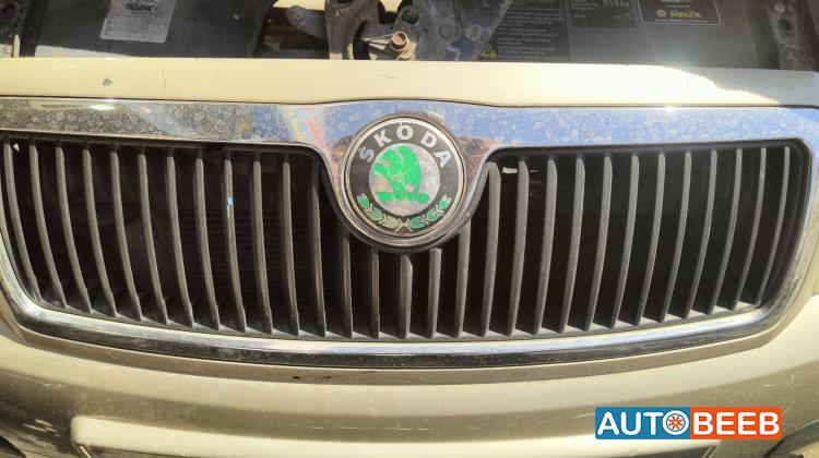 Body  Grilles Skoda Fabia