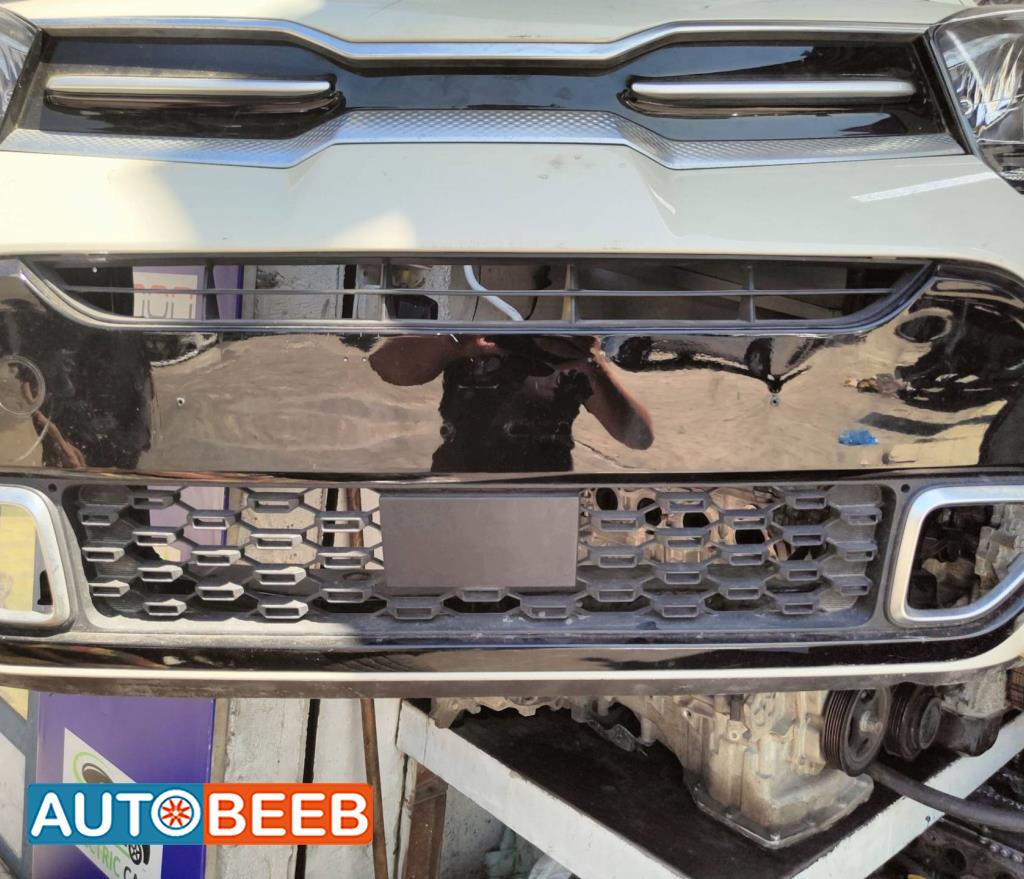 Body  Grilles KIA Picanto