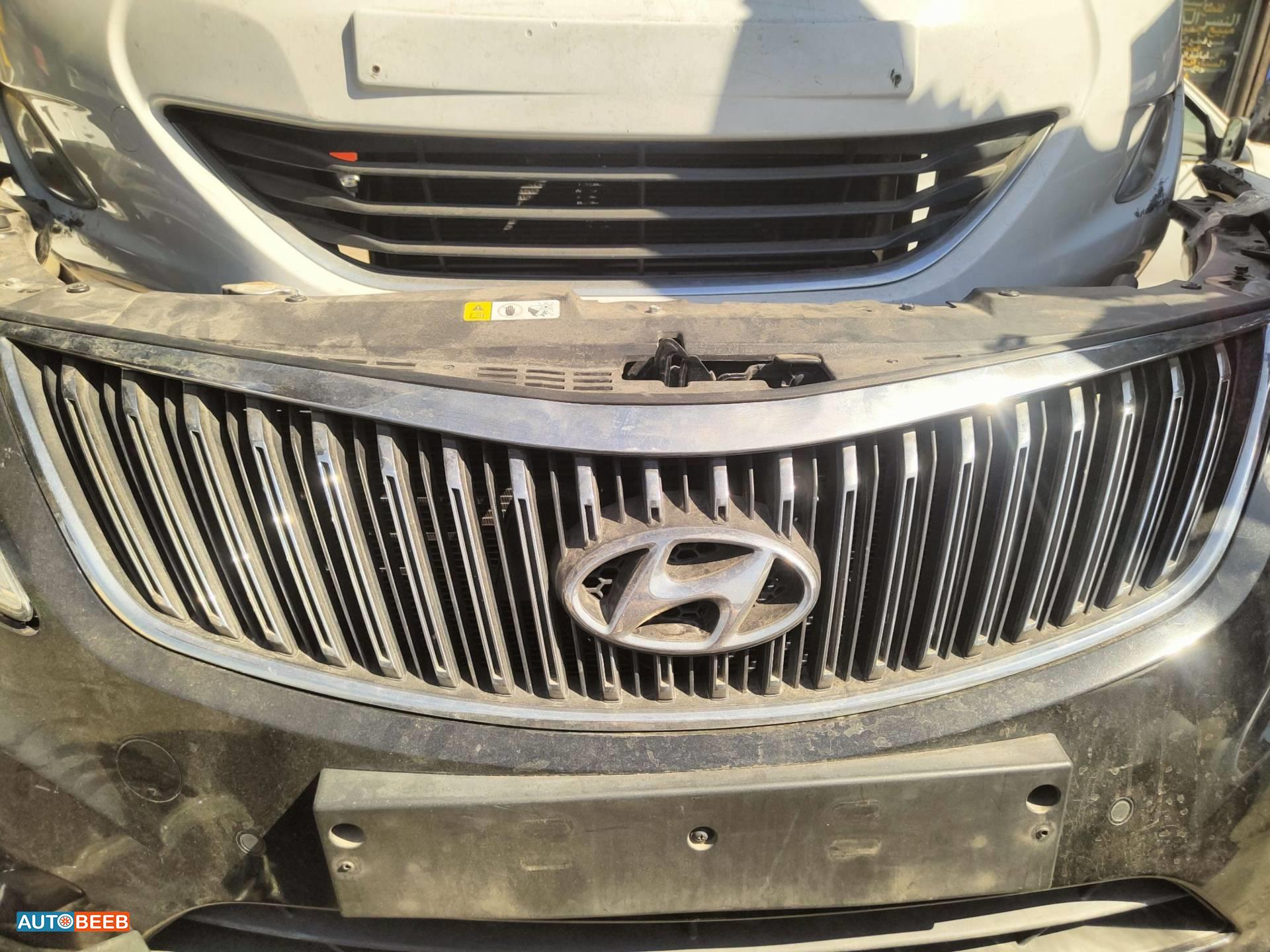Body  Grilles Hyundai Azera