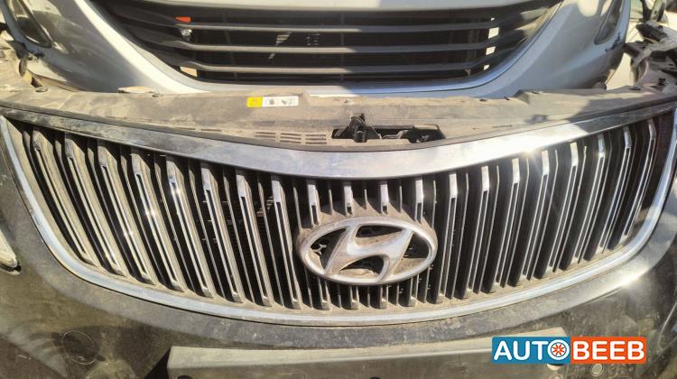 Body  Grilles Hyundai Azera