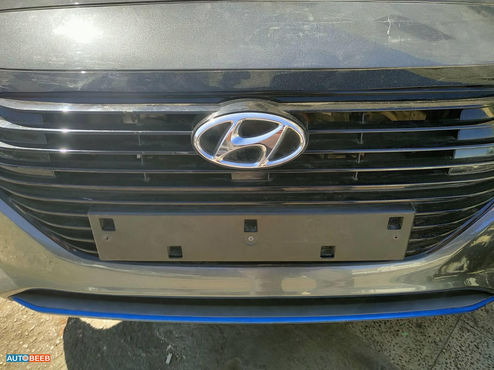 Body  Grilles Hyundai Ioniq