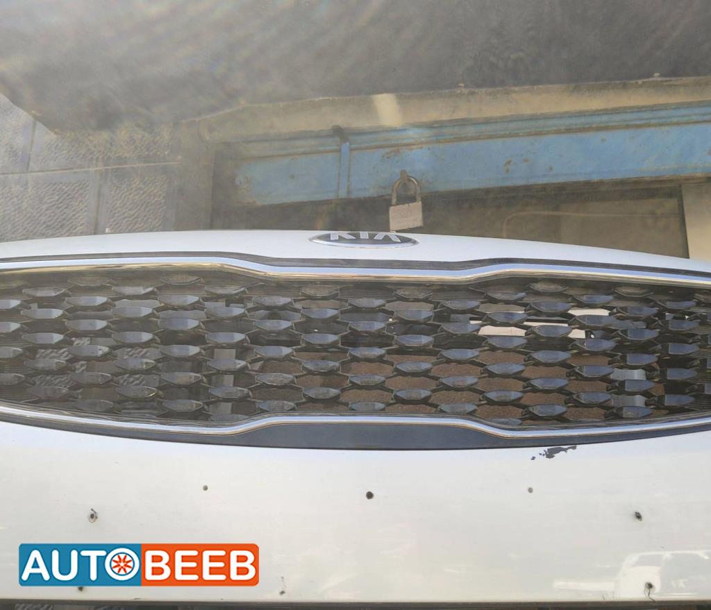 Body  Grilles KIA Cerato