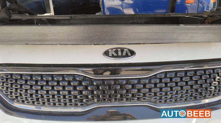 Body  Grilles KIA Niro