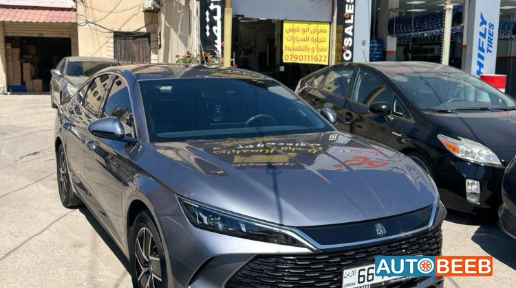 BYD Qin Plus 2024