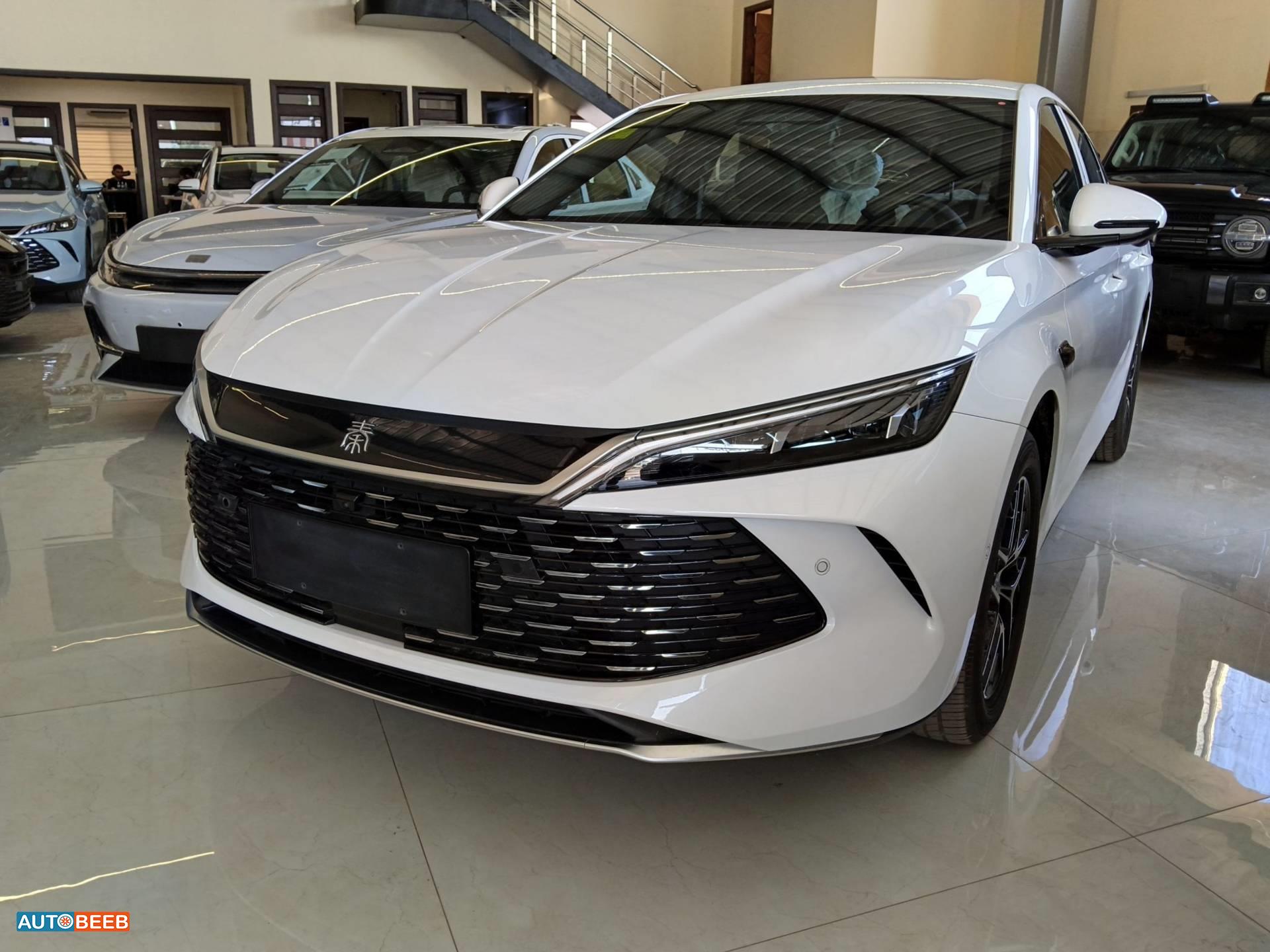 BYD Qin 2026