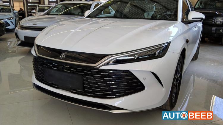 BYD Qin 2026