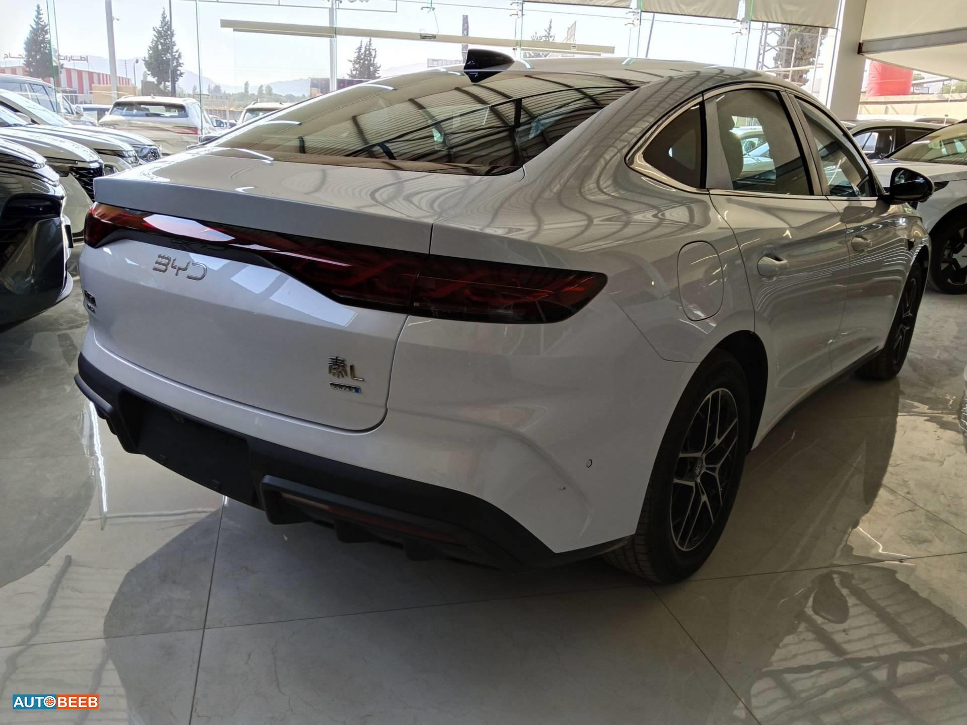 BYD Qin 2026