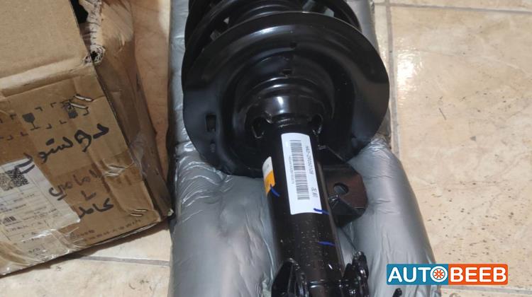  Shock Absorber BYD Destroyer 05