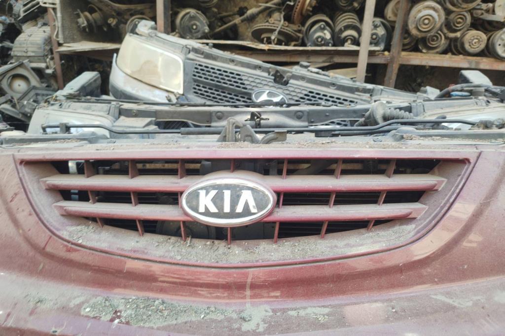 Body  Grilles KIA Carens