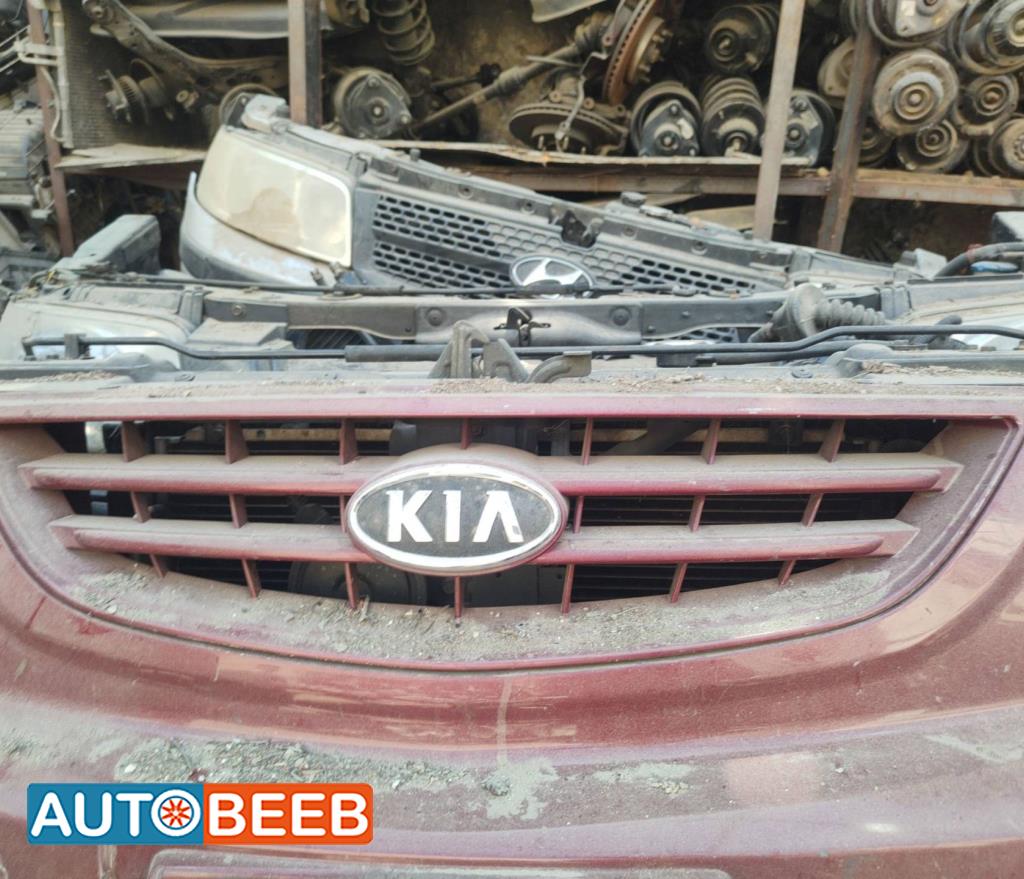 Body  Grilles KIA Carens