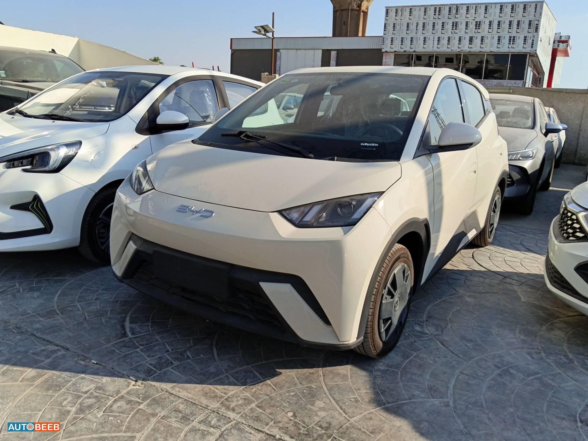 بي واي دي سيجول 2025
