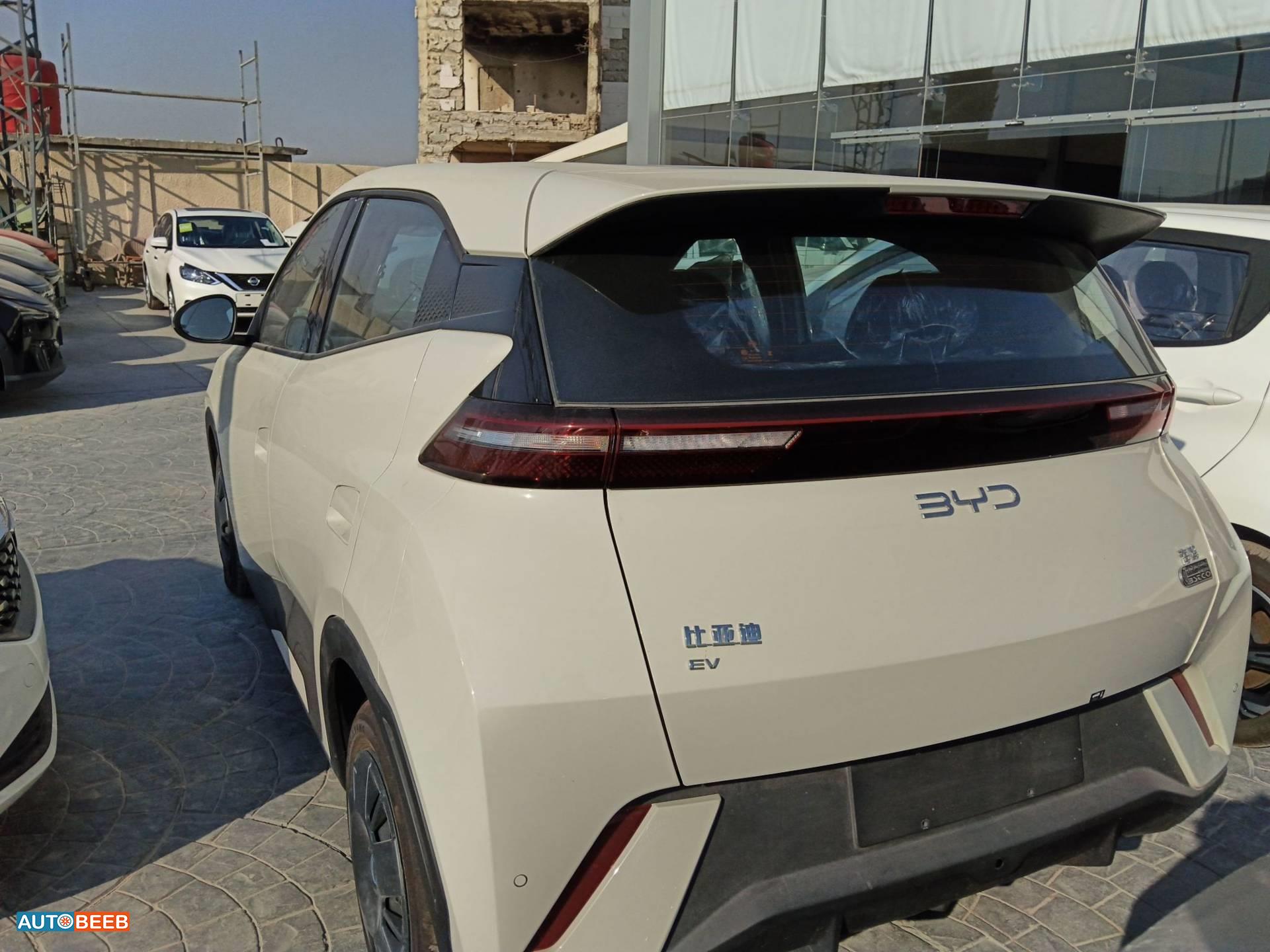 بي واي دي سيجول 2025