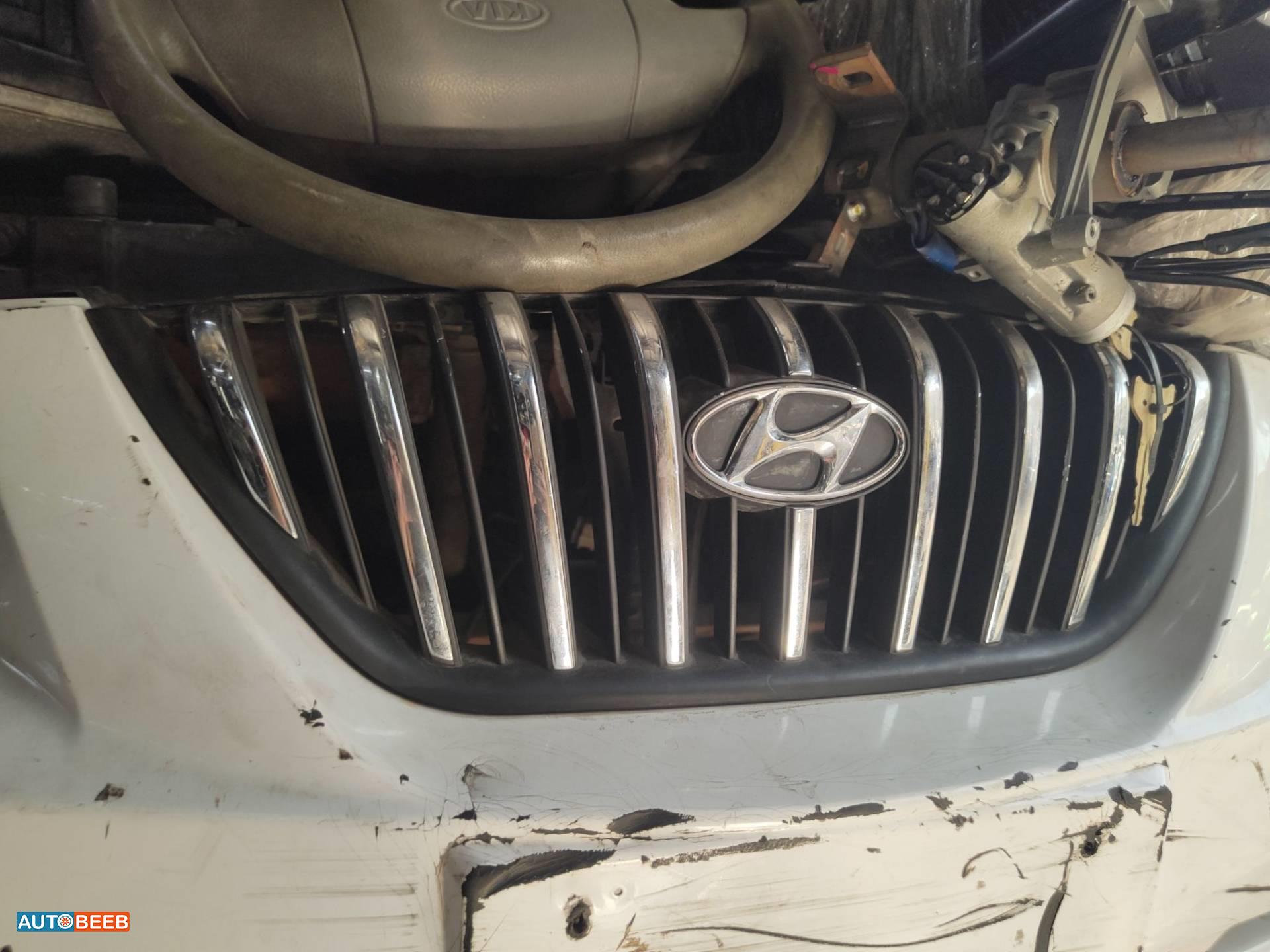 Body  Grilles Hyundai Avante